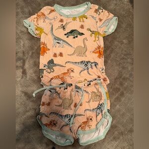 Bamboo dinosaur shortie set 2T